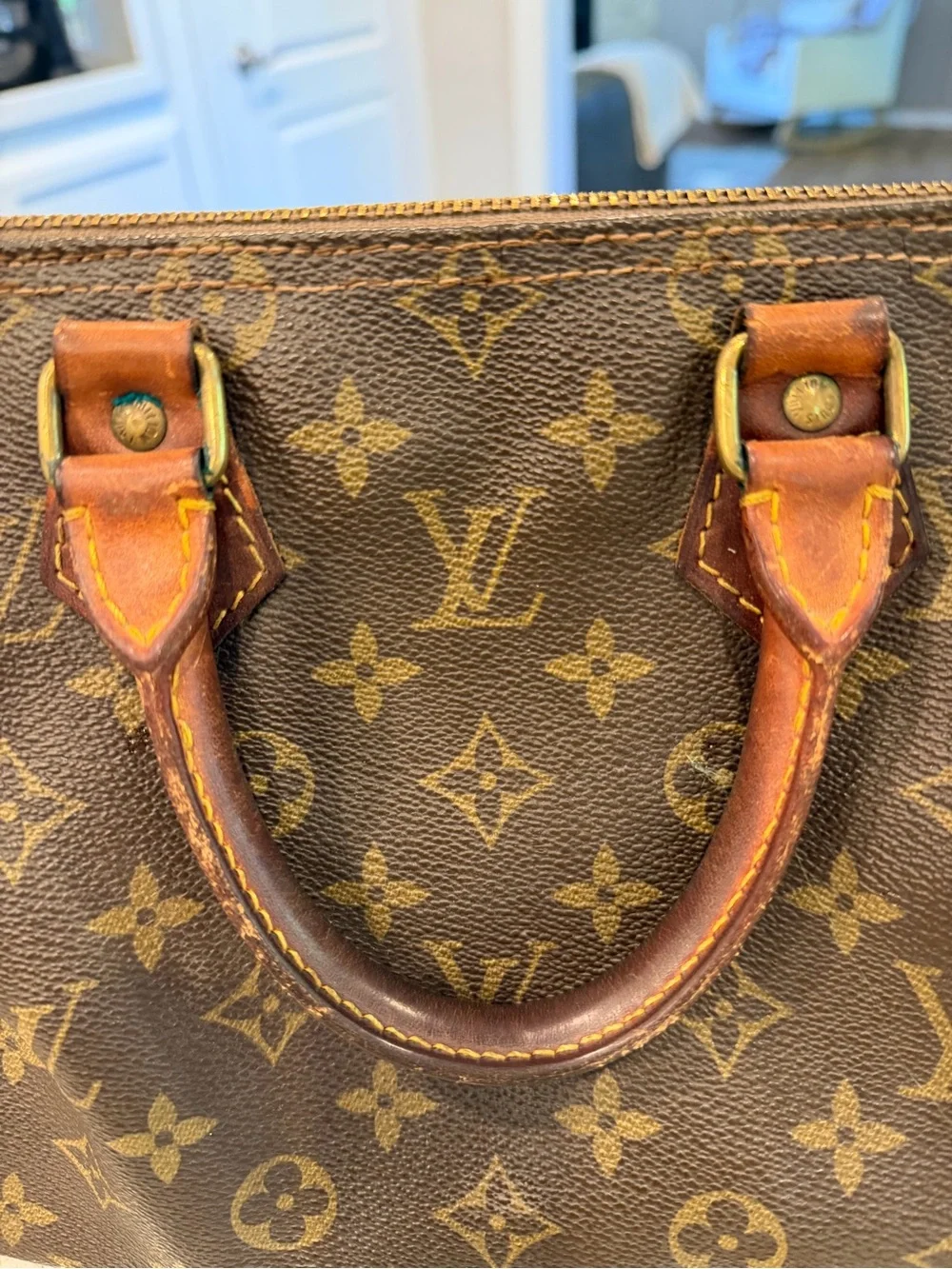 Louis Vuitton Speedy 25